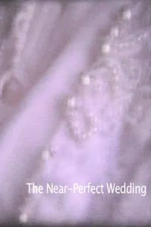 Постер: Near-Perfect Wedding