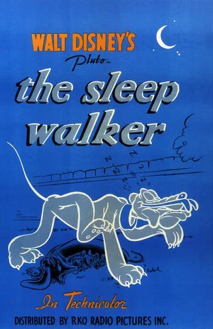 Постер: The Sleepwalker