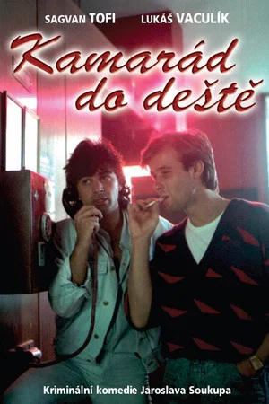 Постер: Kamarád do deště