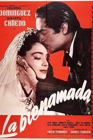 Постер: La bienamada