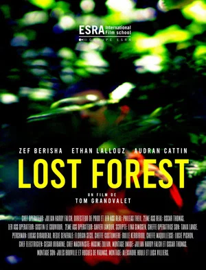 Постер: Lost Forest