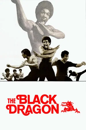 Постер: The Black Dragon