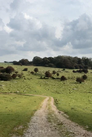 Постер: Journey to Avebury