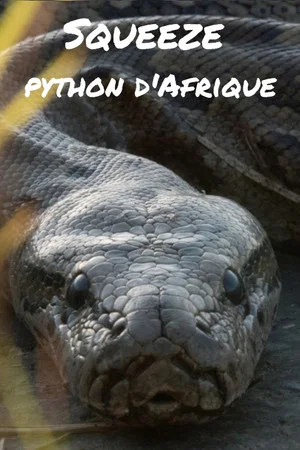 Постер: Squeeze: African Python