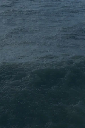 Постер: Twenty Nine Minutes at Sea