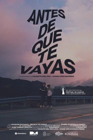 Постер: Before You Go