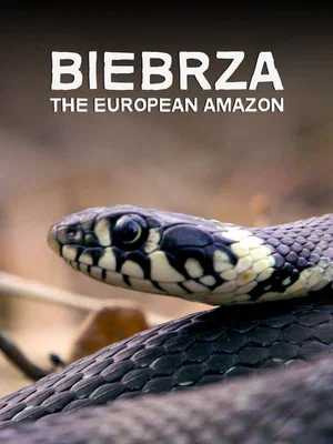 Постер: Biebrza: The European Amazon