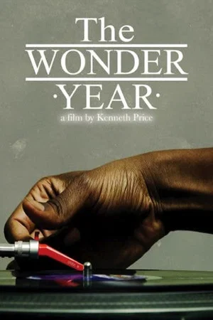 Постер: The Wonder Year