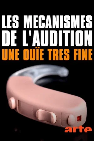 Постер: Les mécanismes de l’audition - Une ouïe très fine
