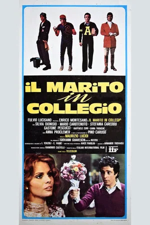 Постер: Il marito in collegio