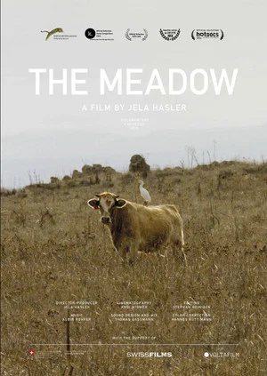 Постер: The Meadow