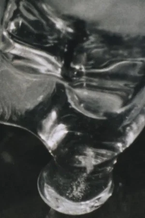Постер: Laurel Fork