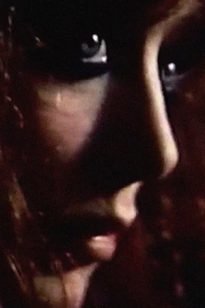 Постер: Everything Shines in the Darkness: Sheldon & Diane Rochlin’s Vali, the Witch of Positano