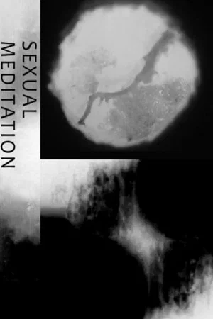 Постер: Sexual Meditation