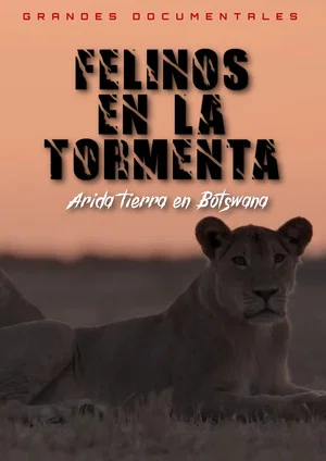 Постер: Felinos en la tormenta