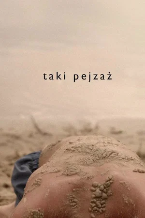 Постер: Such a Landscape