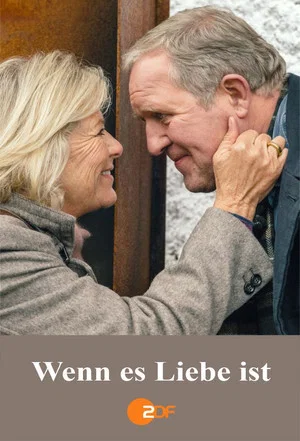 Постер: Wenn es Liebe ist