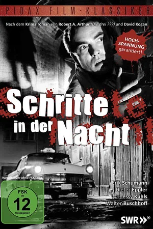 Постер: Schritte in der Nacht