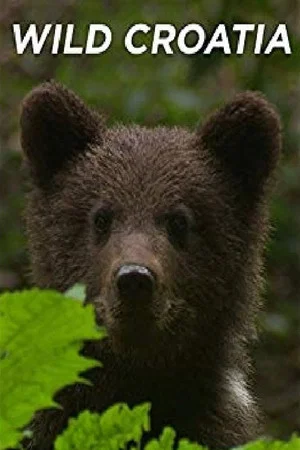 Постер: Wild Croatia