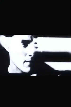 Постер: The Mission