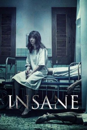 Постер: Insane