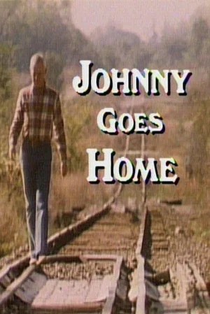 Постер: Johnny Goes Home