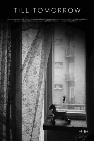 Постер: Till Tomorrow