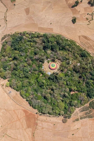 Постер: The Church Forests of Ethiopia