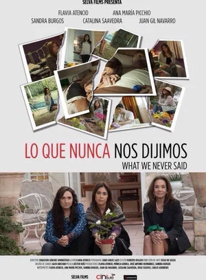 Постер: What We Never Said