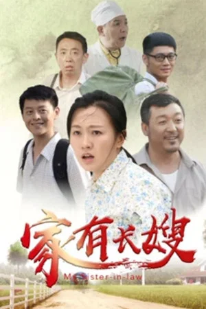 Постер: 家有长嫂
