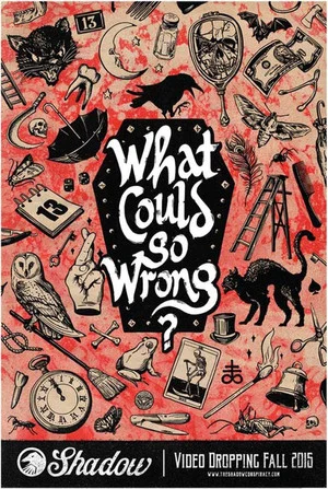 Постер: What Could Go Wrong?