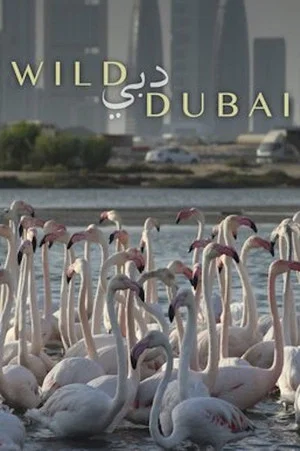 Постер: Wild Dubai