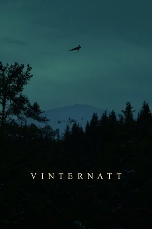 Постер: Vinternatt