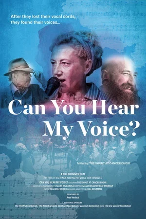Постер: Can You Hear My Voice?