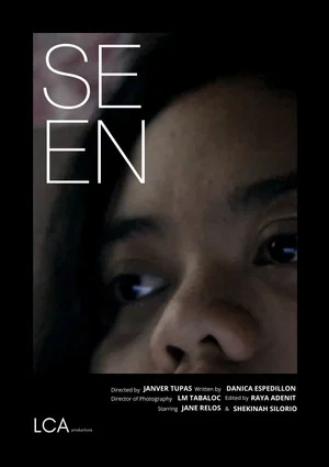 Постер: Seen