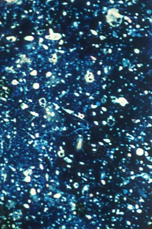 Постер: Ephemeral Solidity