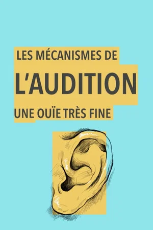 Постер: Les mécanismes de l'audition, une ouïe très fine