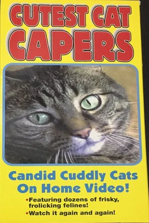 Постер: Cutest Cat Capers