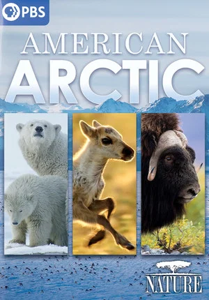 Постер: American Arctic