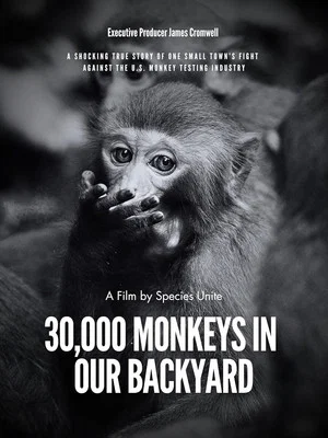 Постер: 30,000 Monkeys in Our Backyard