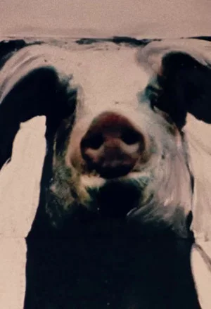 Постер: The Trail of the Pig