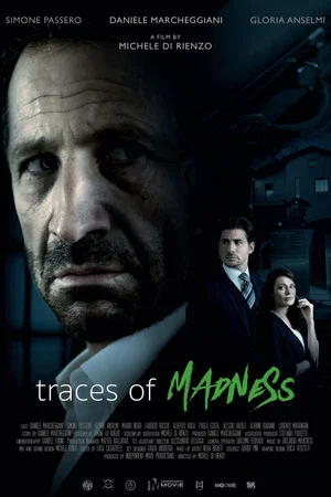 Постер: Traces of Madness