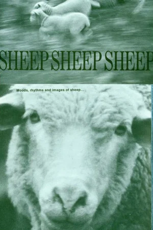 Постер: Sheep, Sheep, Sheep
