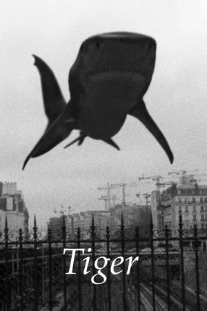 Постер: Tiger