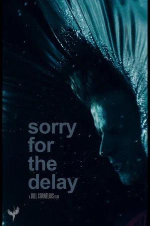 Постер: Sorry for the Delay