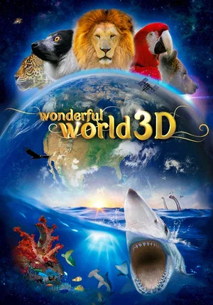 Постер: Wonderful World 3D
