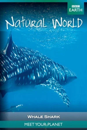 Постер: Whale Shark