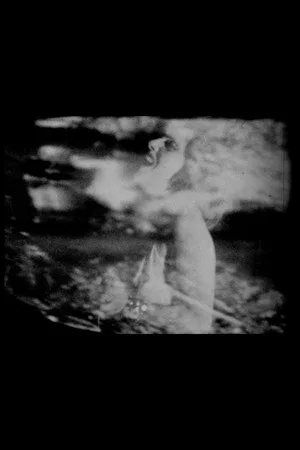Постер: Moonlanding/Janus Head