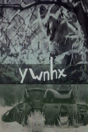 Постер: ywnhx