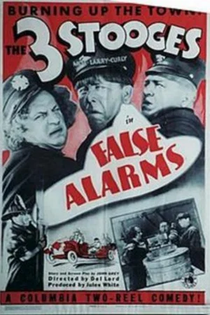 Постер: False Alarms